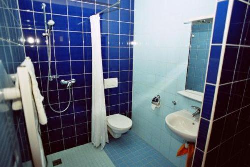 Motel Dacice Room photo